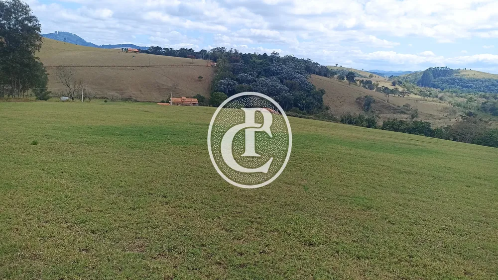 Terreno, 5 hectares - Foto 6