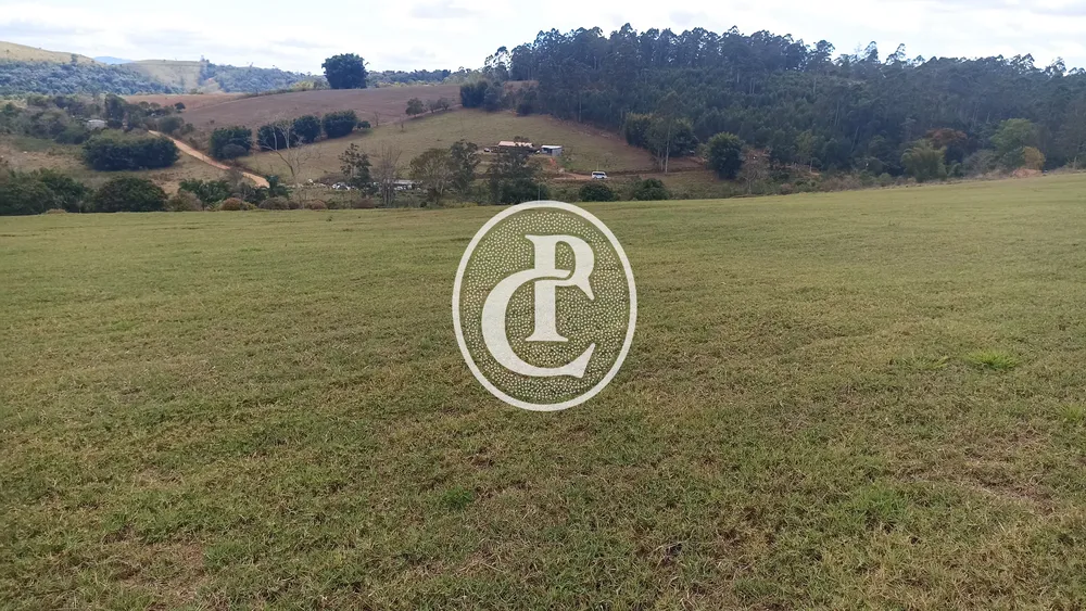 Terreno, 5 hectares - Foto 4