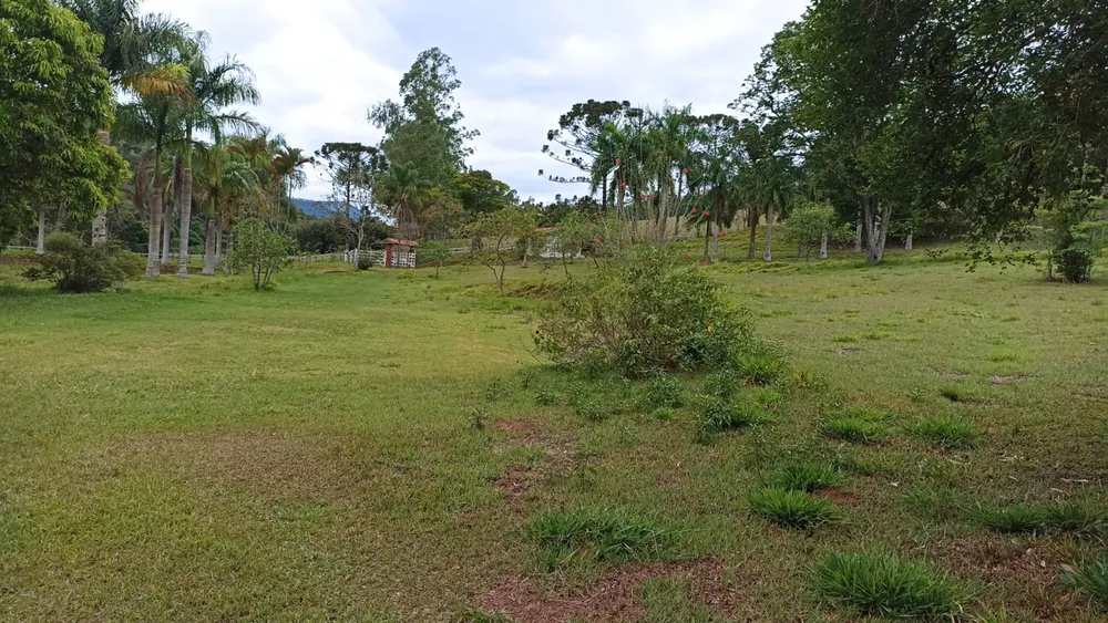 Sítio, 5 quartos, 600 m² - Foto 8