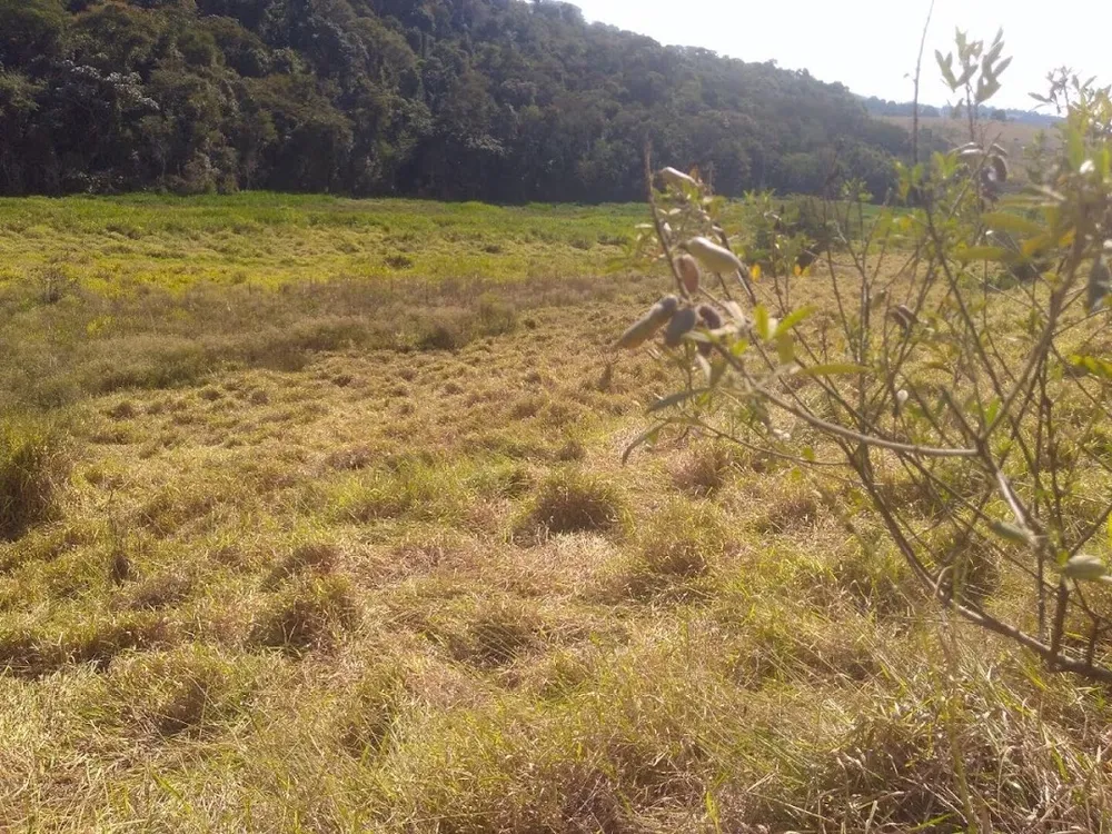 Fazenda, 100 m² - Foto 8