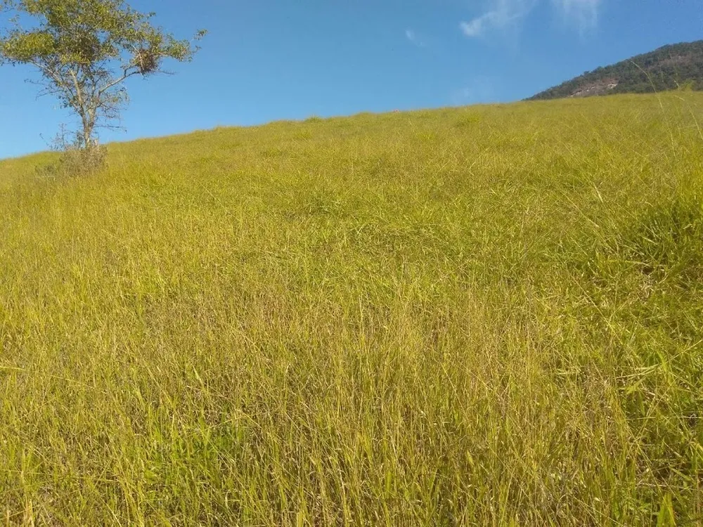 Fazenda, 100 m² - Foto 11