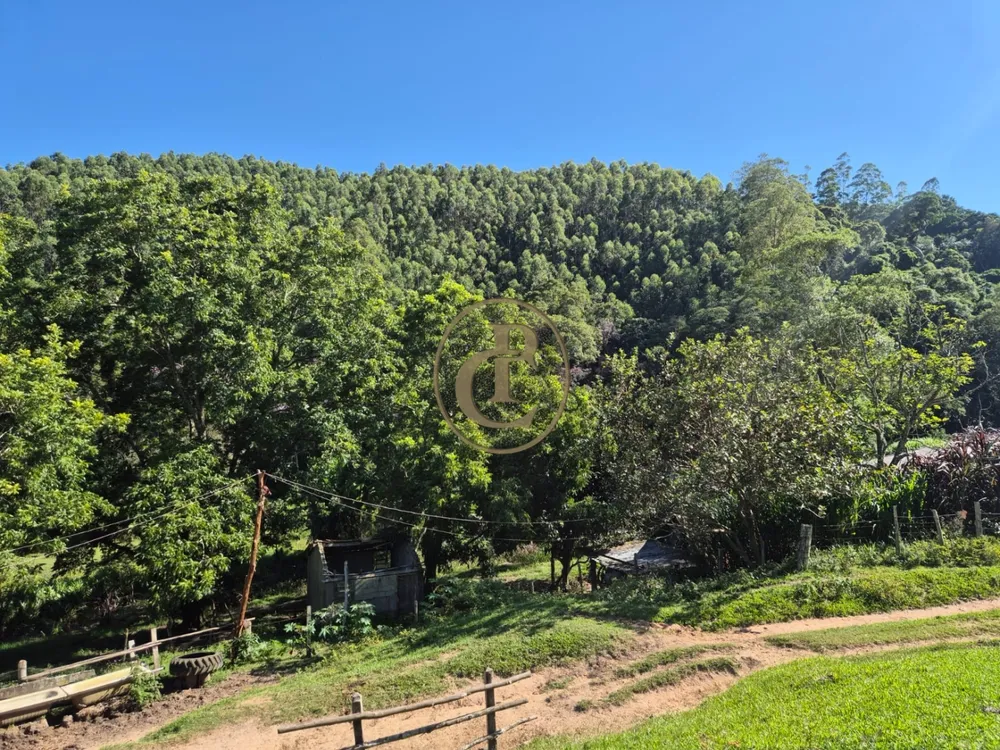 Sítio, 1 quarto, 100 m² - Foto 4