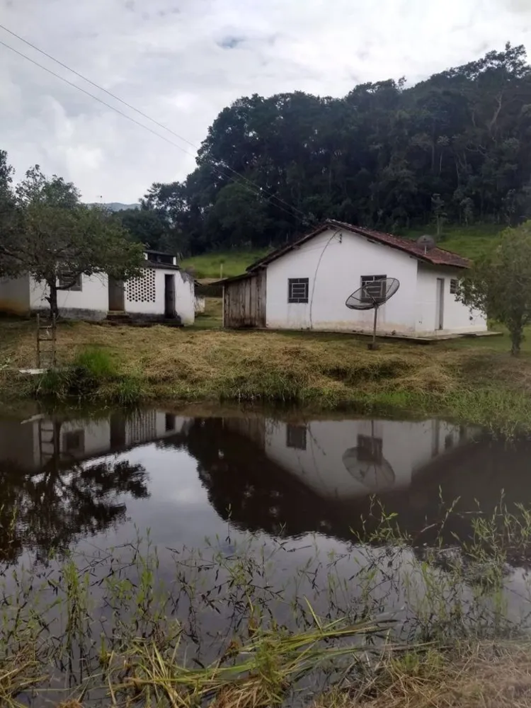 Sítio, 4 quartos, 41 hectares - Foto 8