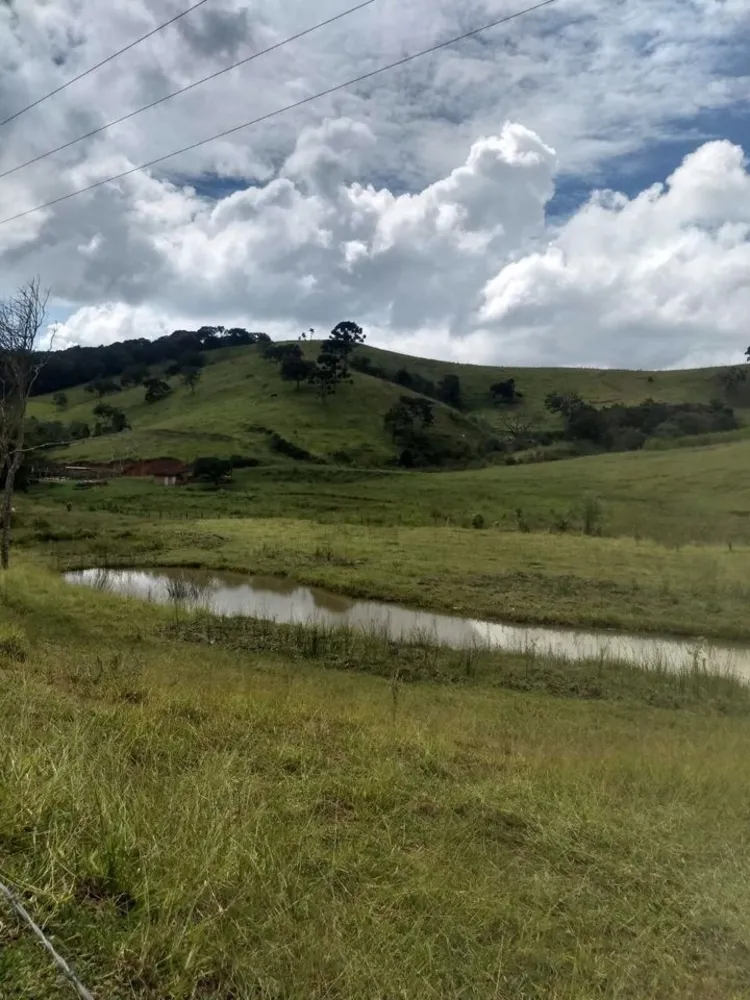 Sítio, 4 quartos, 41 hectares - Foto 4