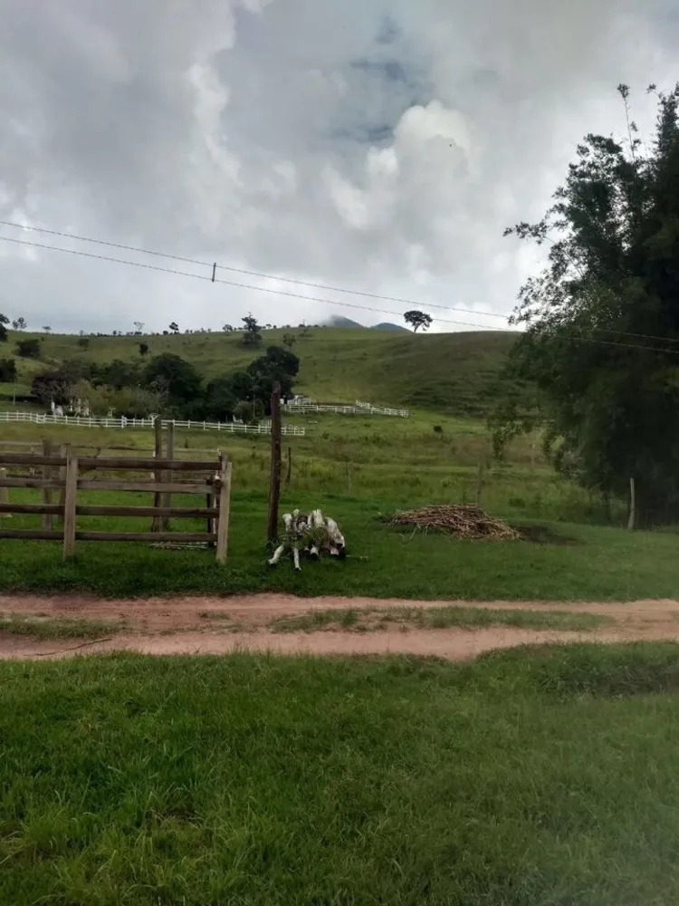 Sítio, 4 quartos, 41 hectares - Foto 14