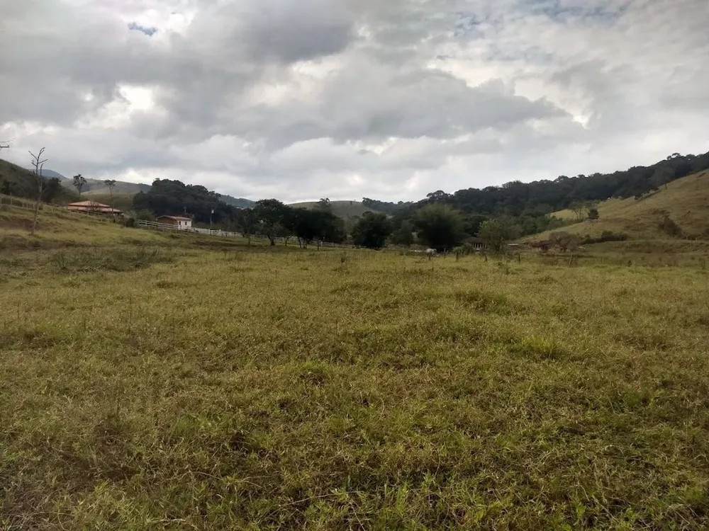 Sítio, 4 quartos, 41 hectares - Foto 8