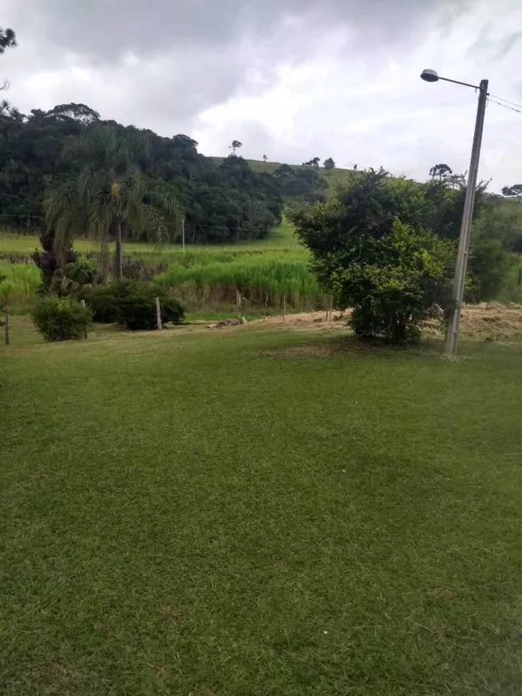 Sítio, 4 quartos, 41 hectares - Foto 6