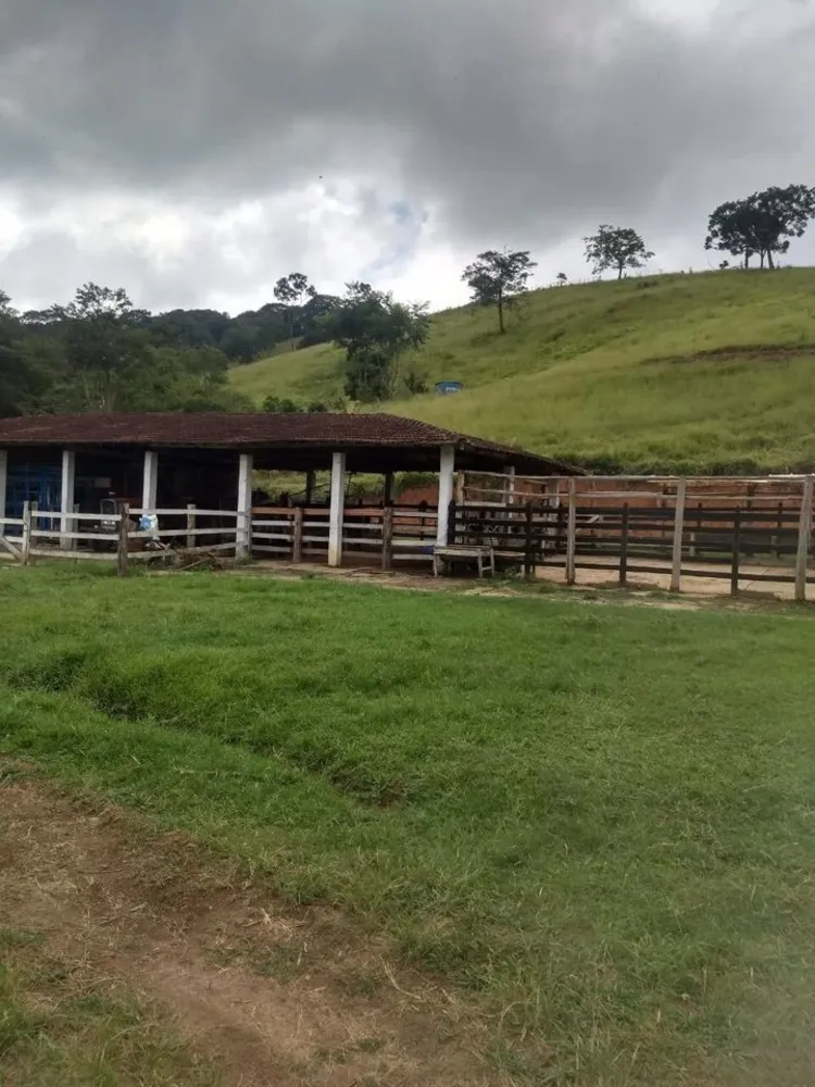 Sítio, 4 quartos, 41 hectares - Foto 16