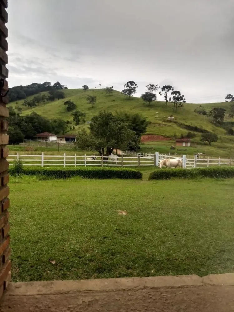 Sítio, 4 quartos, 41 hectares - Foto 4