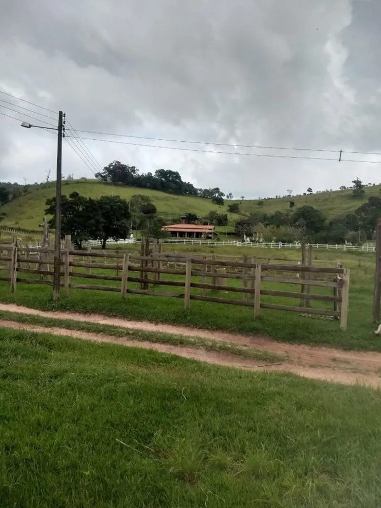 Sítio, 4 quartos, 41 hectares - Foto 5