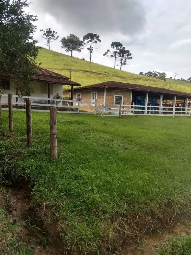 Sítio, 4 quartos, 41 hectares - Foto 2