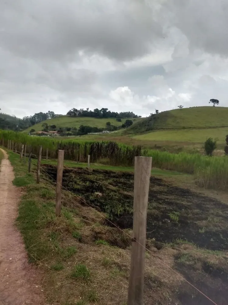 Sítio, 4 quartos, 41 hectares - Foto 13