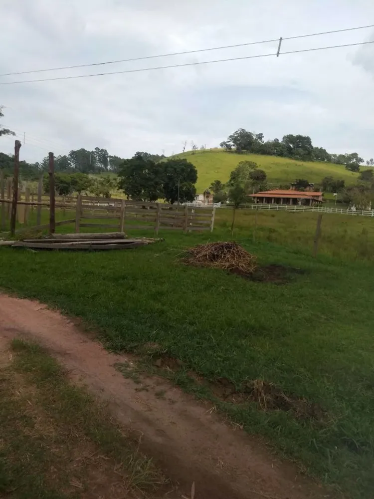 Sítio, 4 quartos, 41 hectares - Foto 7