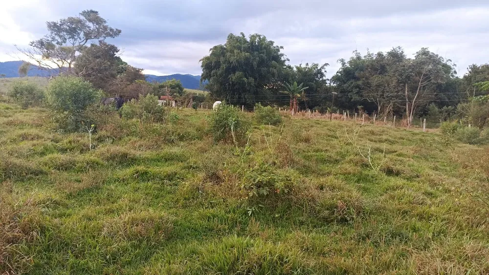 Fazenda, 169 hectares - Foto 3