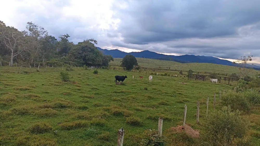 Fazenda, 169 hectares - Foto 6