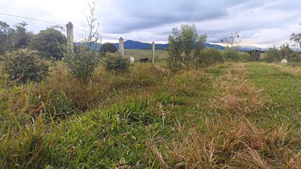 Fazenda, 169 hectares - Foto 7