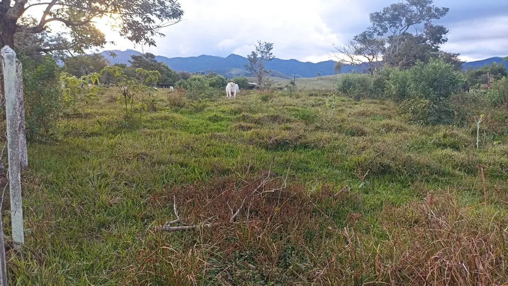 Fazenda, 169 hectares - Foto 4