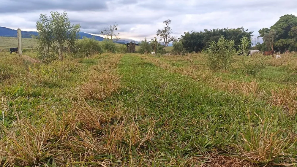Fazenda, 169 hectares - Foto 8