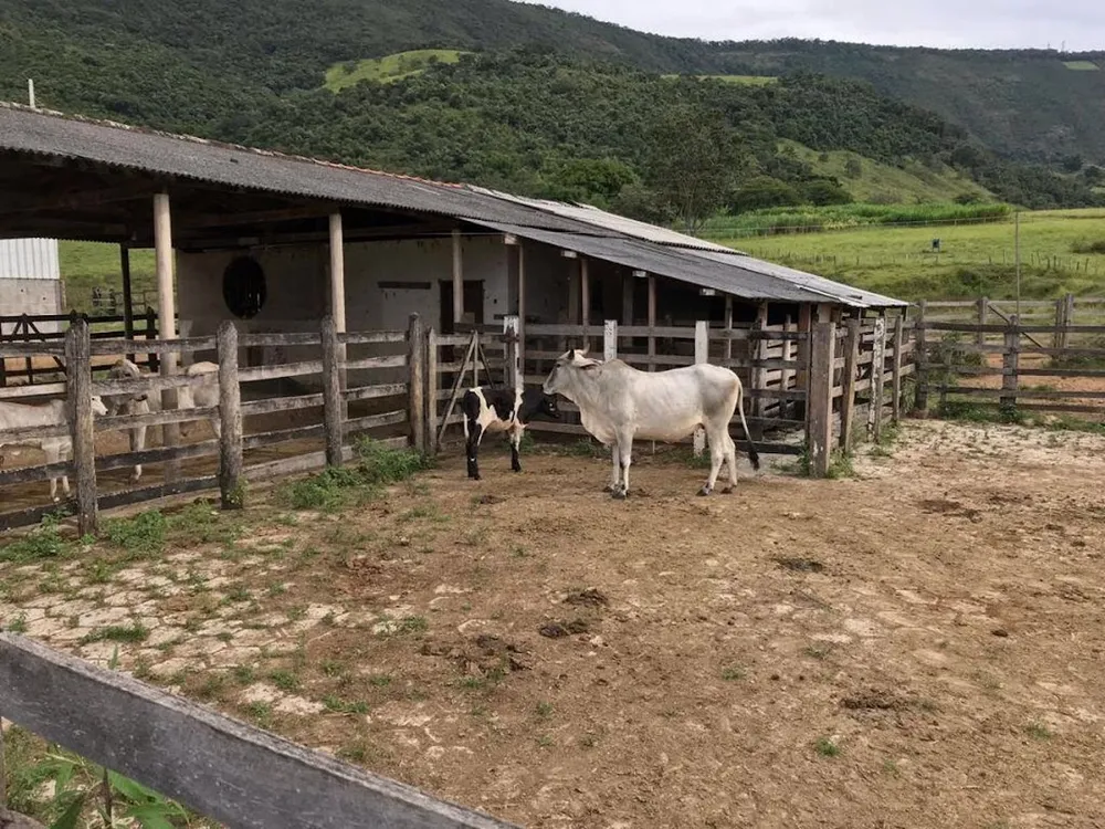 Fazenda, 100 m² - Foto 6