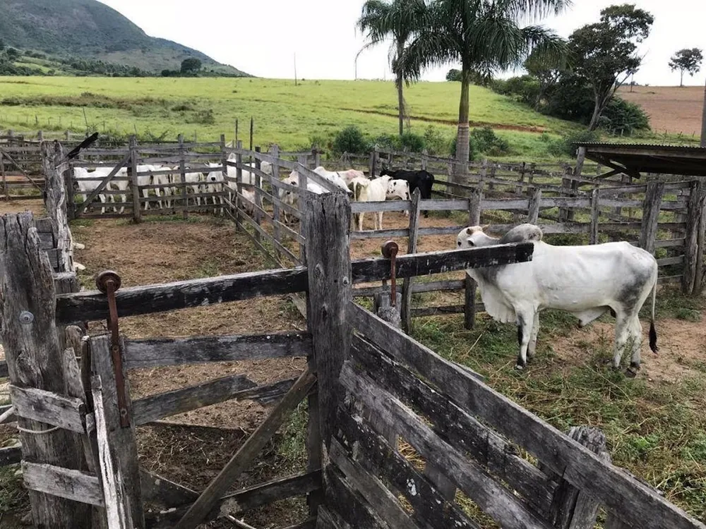 Fazenda, 100 m² - Foto 9