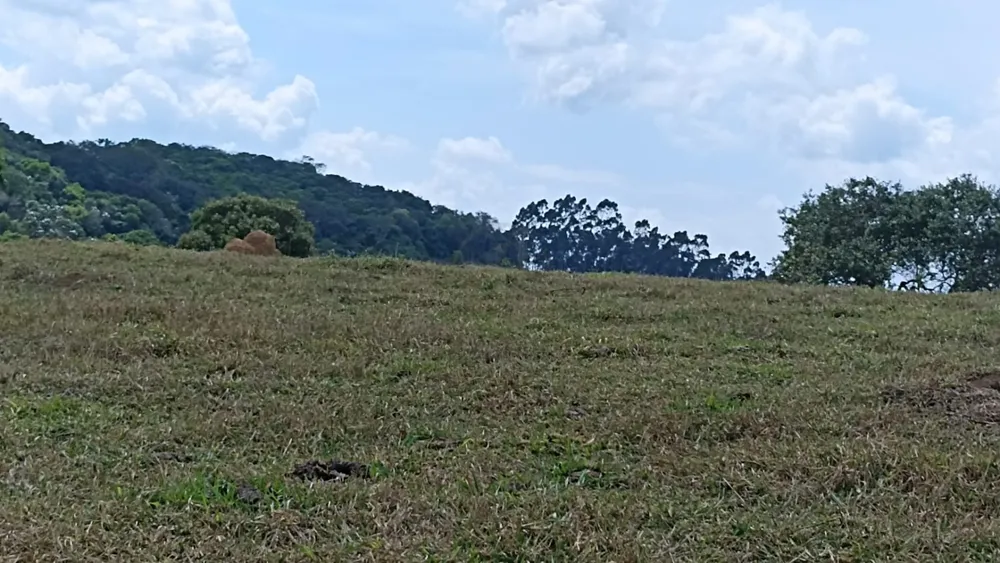 Terreno, 10 m² - Foto 2