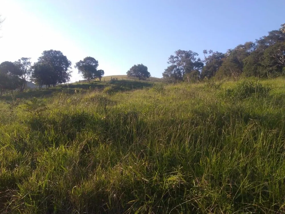 Fazenda, 97 hectares - Foto 7