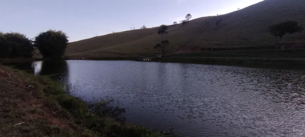 Fazenda, 97 hectares - Foto 11