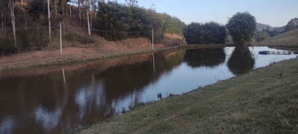 Fazenda, 97 hectares - Foto 12