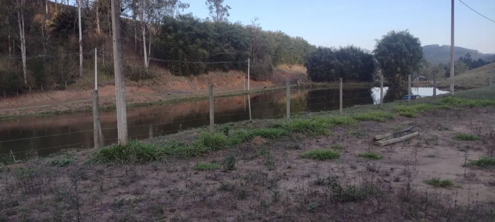 Fazenda, 97 hectares - Foto 9