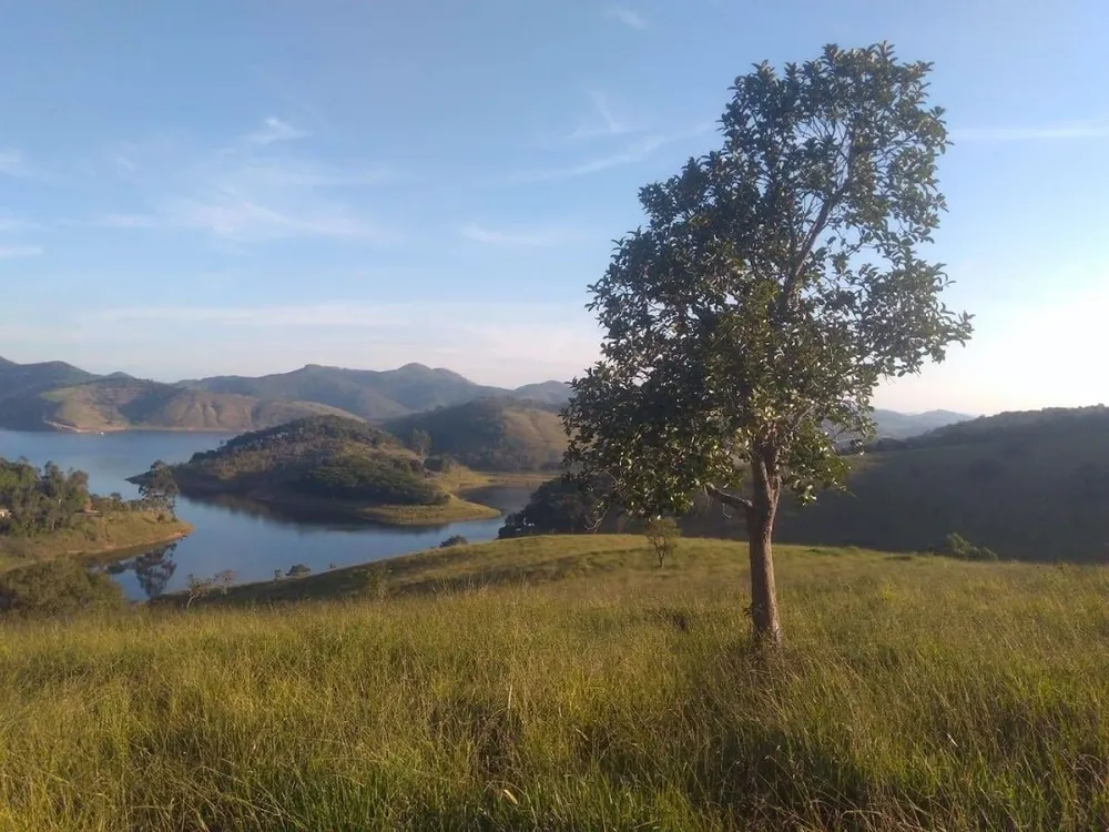 Fazenda, 97 hectares - Foto 3