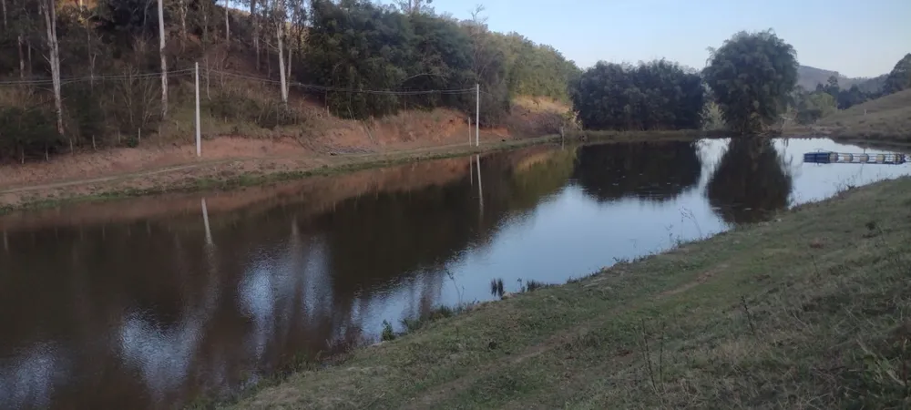 Fazenda, 97 hectares - Foto 10