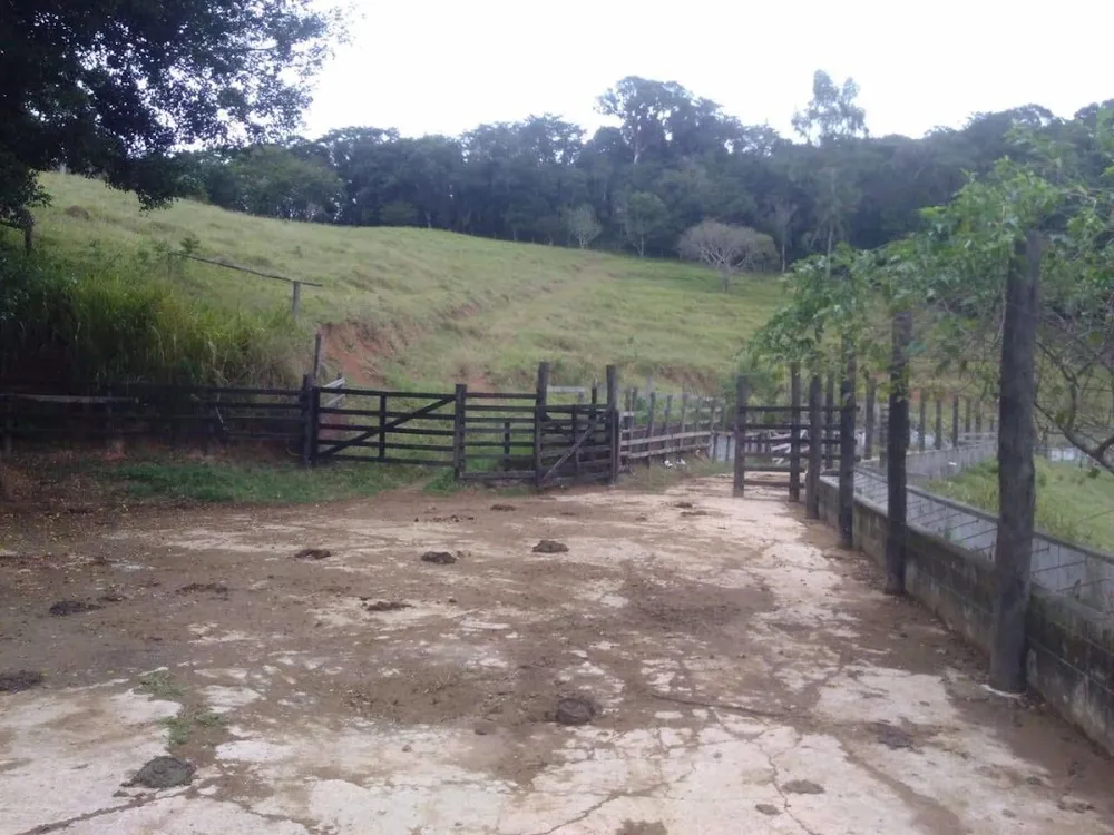 Fazenda, 97 hectares - Foto 4