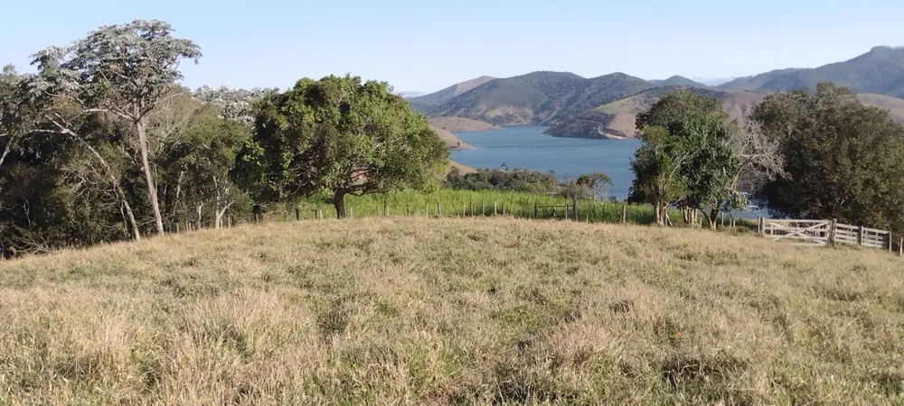 Fazenda, 97 hectares - Foto 1