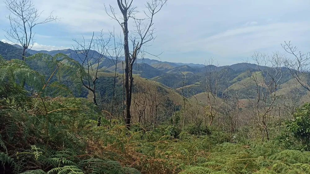 Chácara, 2 quartos, 2 hectares - Foto 4