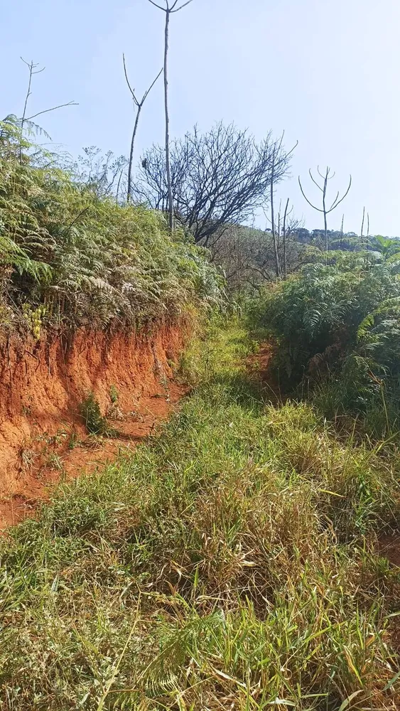 Chácara, 2 quartos, 2 hectares - Foto 1