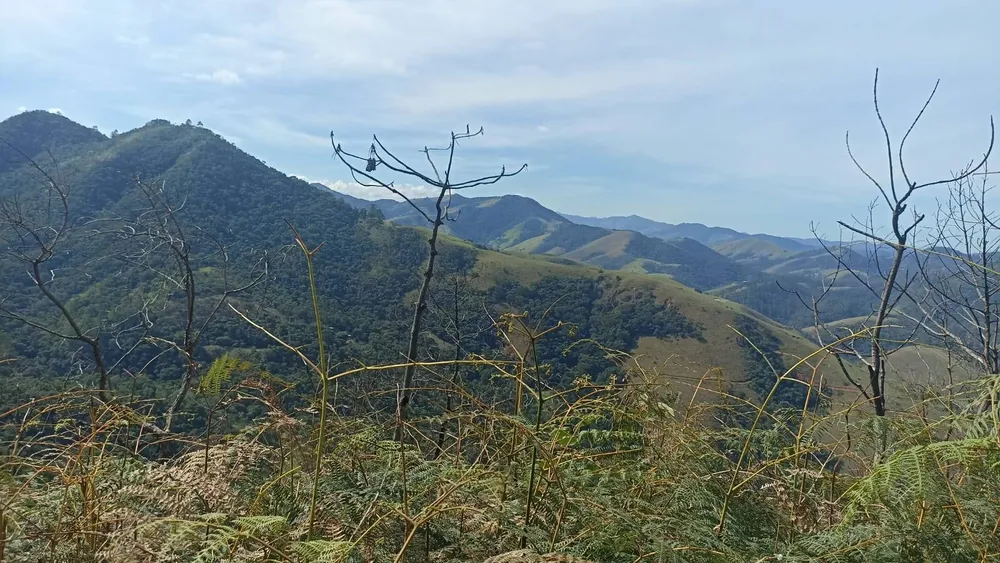 Chácara, 2 quartos, 2 hectares - Foto 7