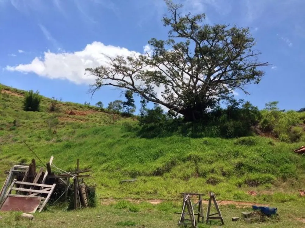 Fazenda, 100 m² - Foto 6
