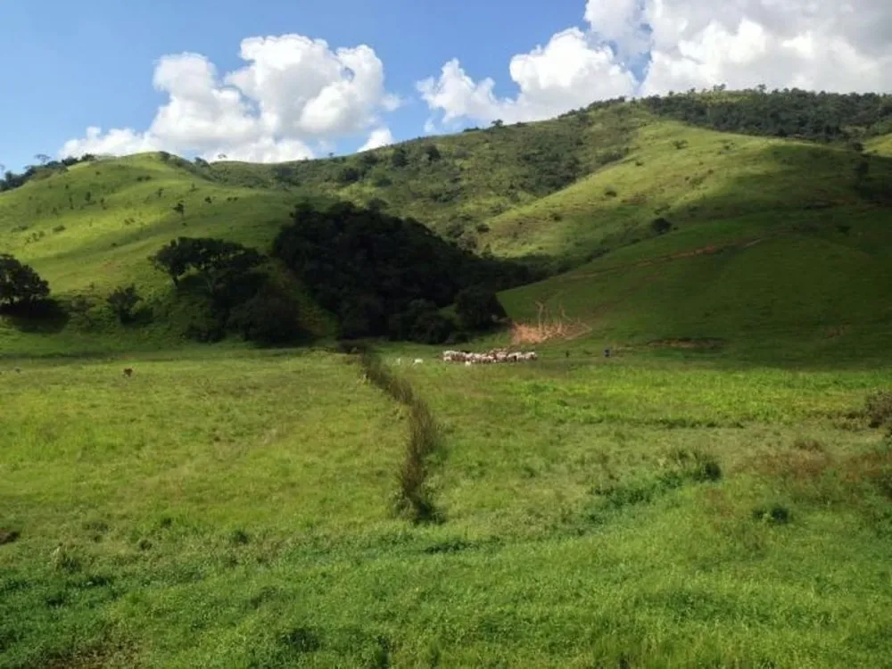 Fazenda, 100 m² - Foto 2