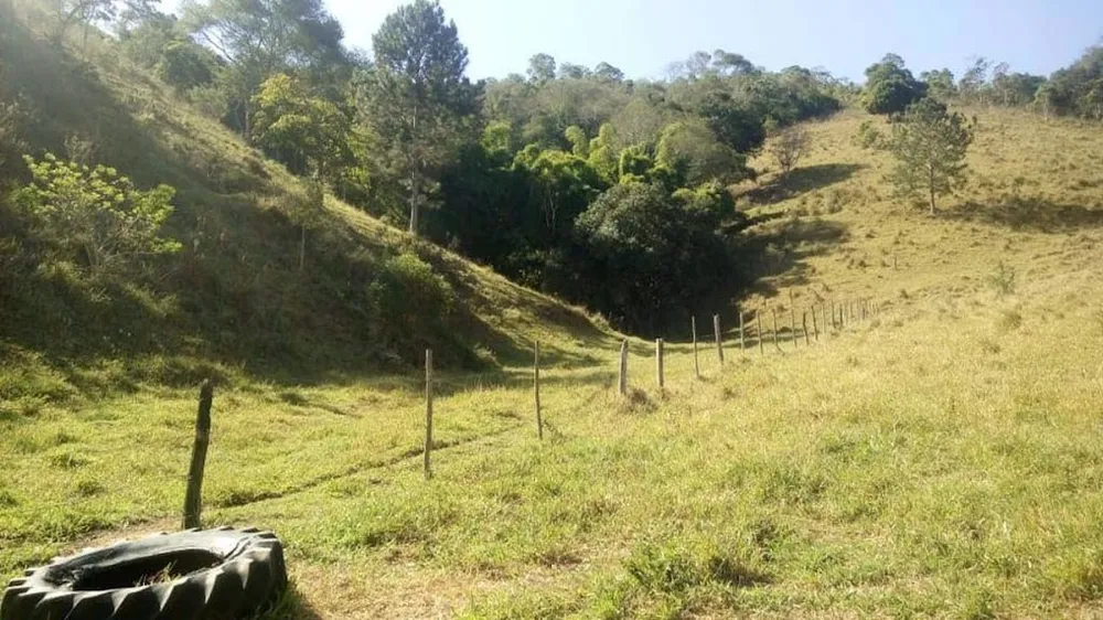 Sítio, 1 quarto, 90 m² - Foto 10