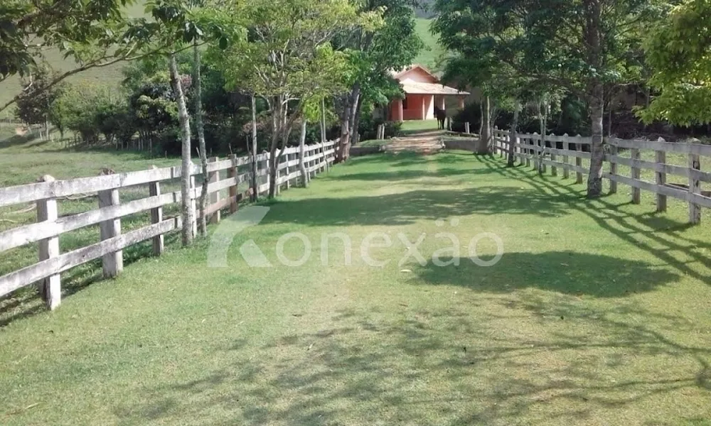 Sítio, 3 quartos, 100 m² - Foto 6