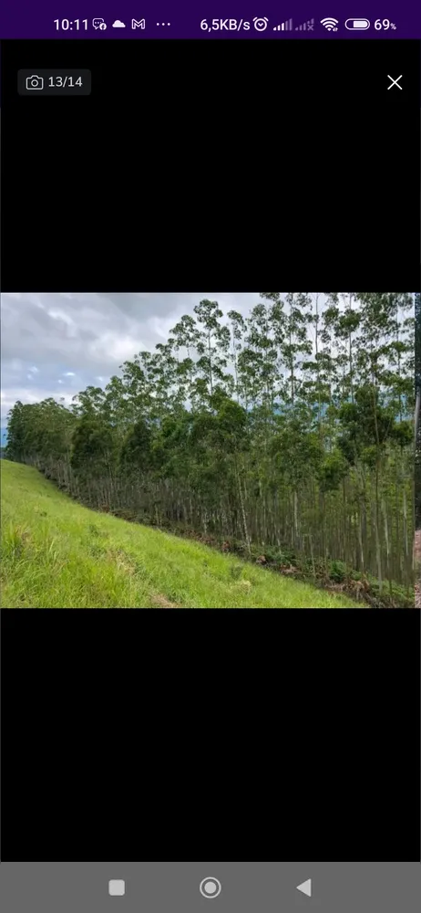 Sítio, 1 quarto, 20 hectares - Foto 4