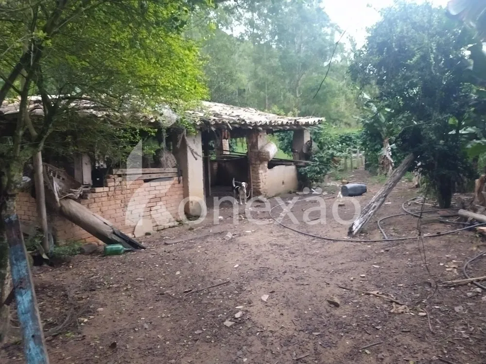 Fazenda, 100 m² - Foto 10