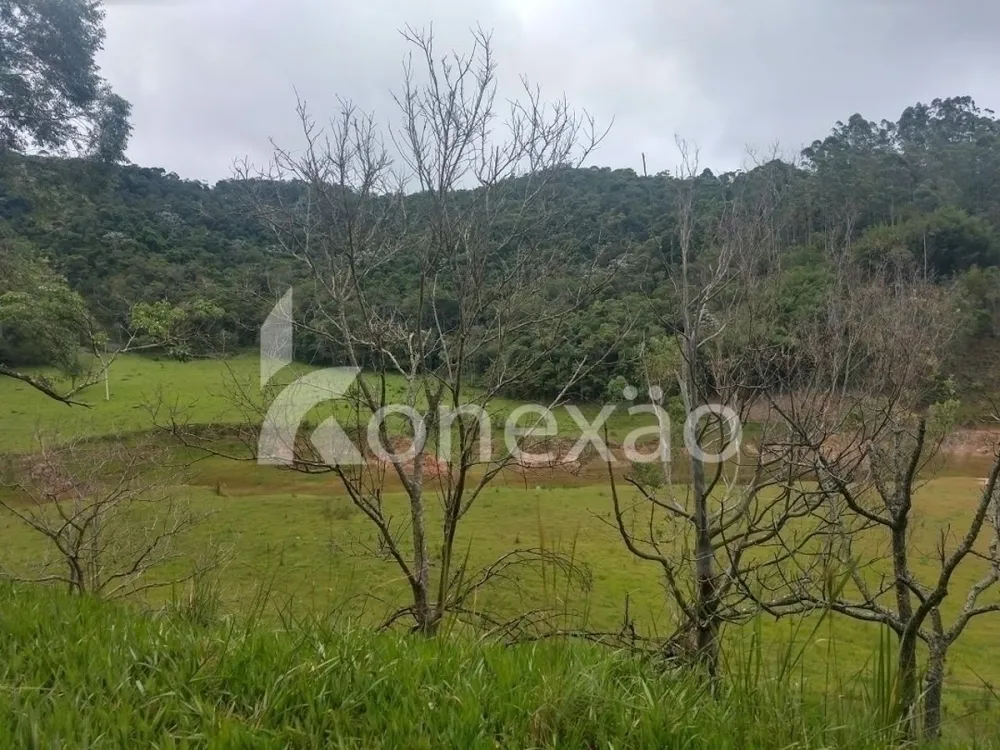 Fazenda, 100 m² - Foto 3