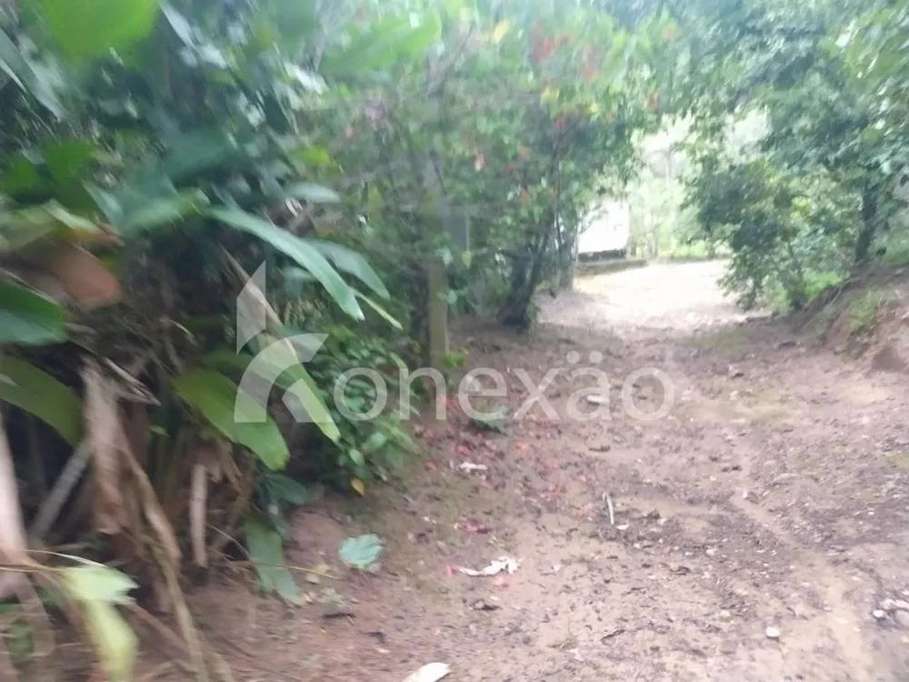 Fazenda, 100 m² - Foto 8