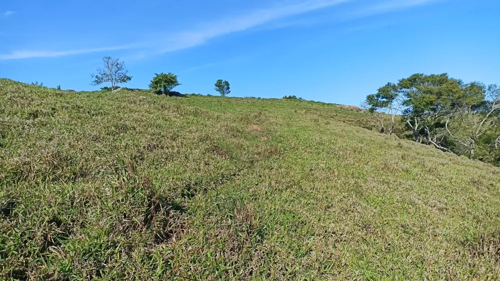 Fazenda, 100 m² - Foto 4