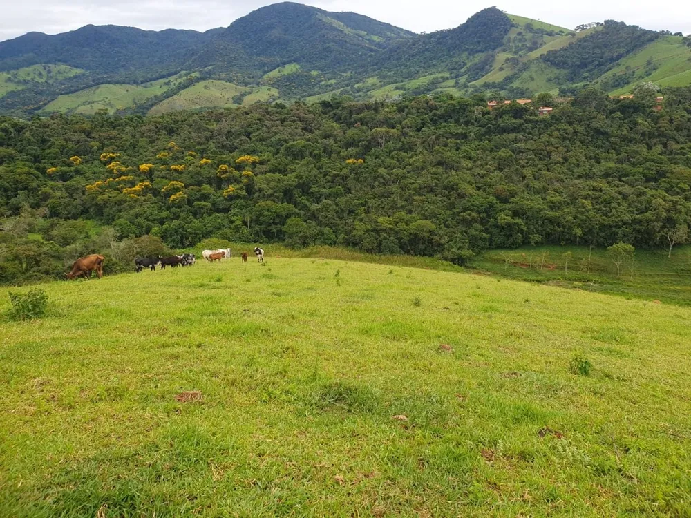 Sítio, 1 quarto, 1 m² - Foto 8