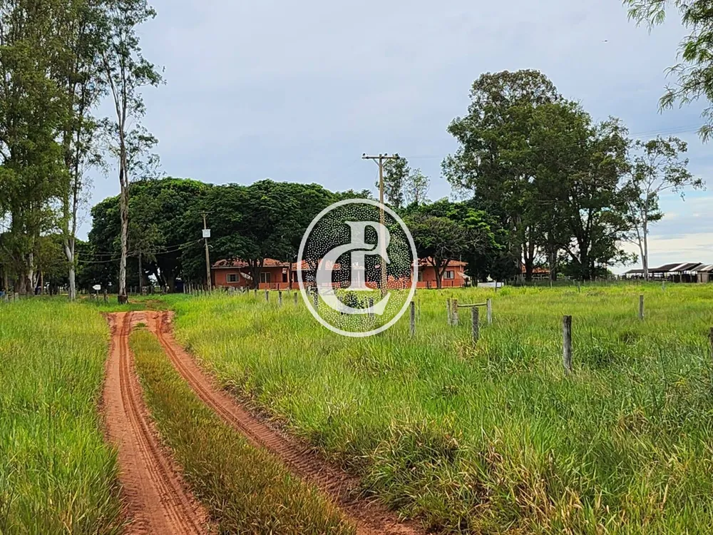 Fazenda, 643 hectares - Foto 7