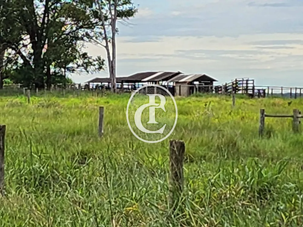 Fazenda, 643 hectares - Foto 11