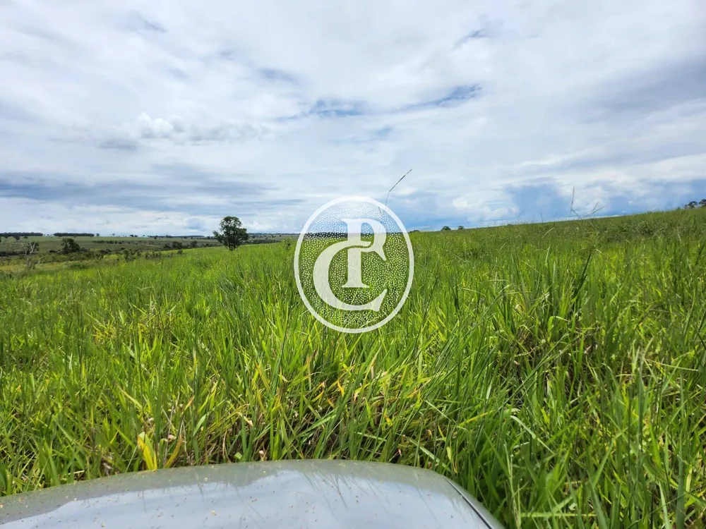 Fazenda, 643 hectares - Foto 2