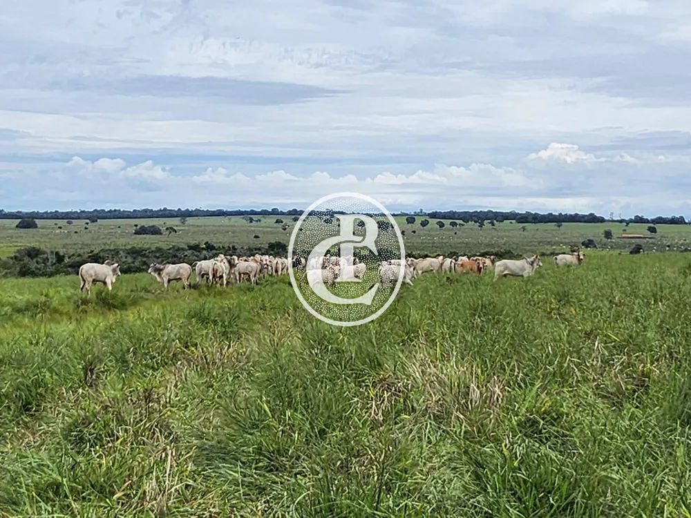 Fazenda, 643 hectares - Foto 4